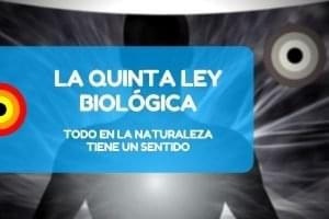 5 Ley Biologica Nueva Medicina Nmg