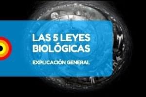 Nueva Medicina Nmg Explicacion 5 Leyes Biologicas