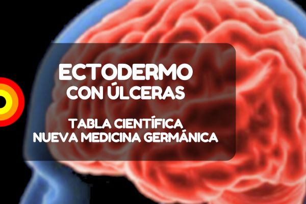 Ectodermo Con Ulceras Nueva Medicina Nmg