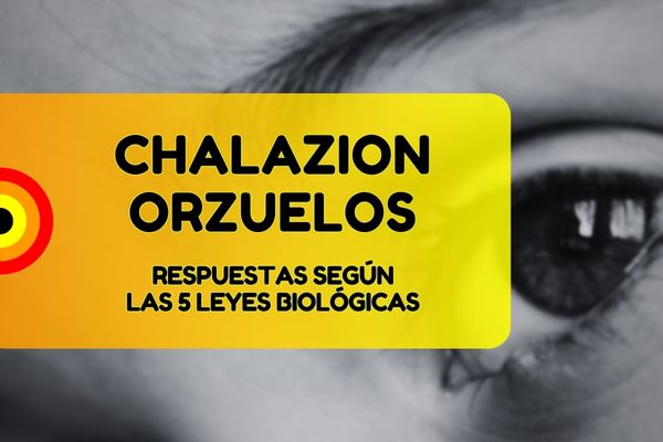 Nueva Medicina Germanica Orzuelos Chalazion